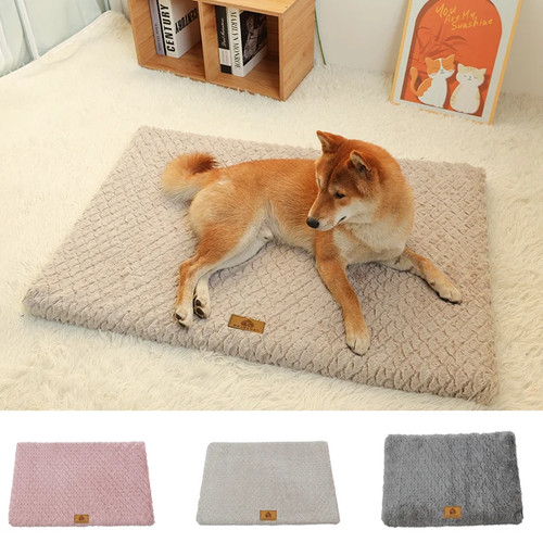 Foam pet bed with removable - bed,