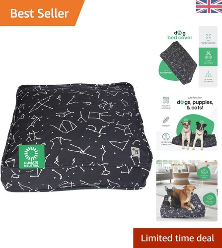 Delightful rocketman print - delightful, dog