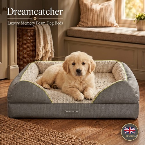 Dreamcatcher luxury memory - dreamcatcher,