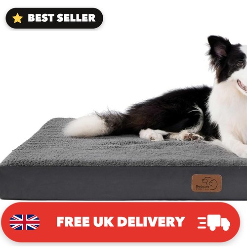 Orthopedic dog bed - dog,
