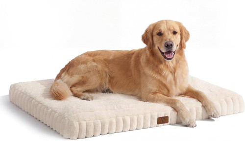 Dog bed cream white - dog,