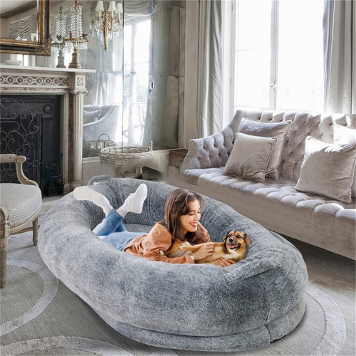 Human sized dog pet - human, bed
