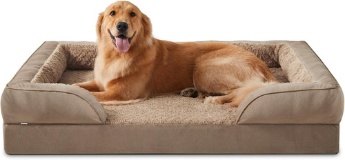 Extra large dog - extra,