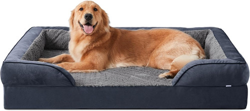 Extra large dog - large,