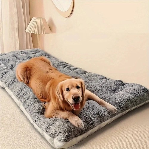 Large orthopedic memory - large, foam
