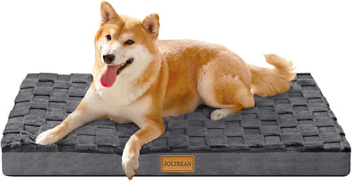 Orthopedic medium dog - dog, bed