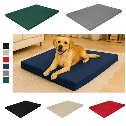 Large pet dog - pet, 70x95cm