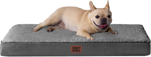 Orthopedic medium dog bed - orthopedic,