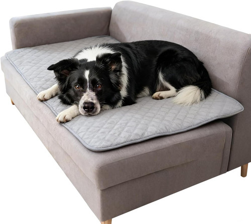 Waterproof dog blanket - dog,
