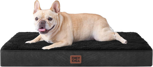 Orthopedic medium dog bed - bed, with