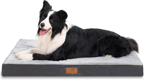 Jaspuriea large orthopedic dog - jaspuriea,
