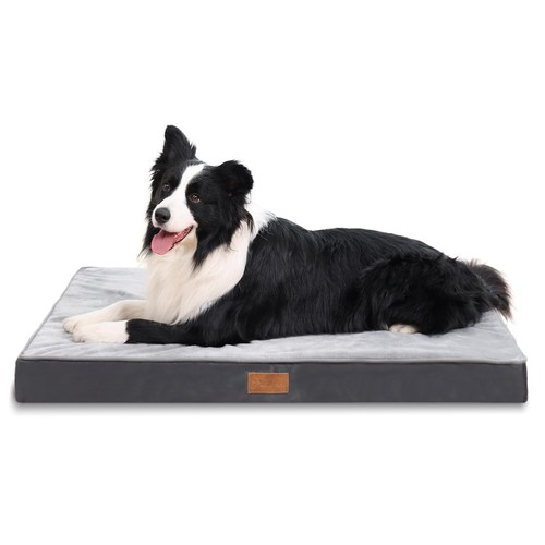 Jaspuriea large orthopedic dog - jaspuriea,