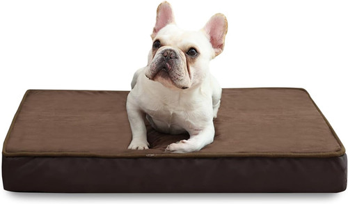 Small orthopedic dog bed with - dog,