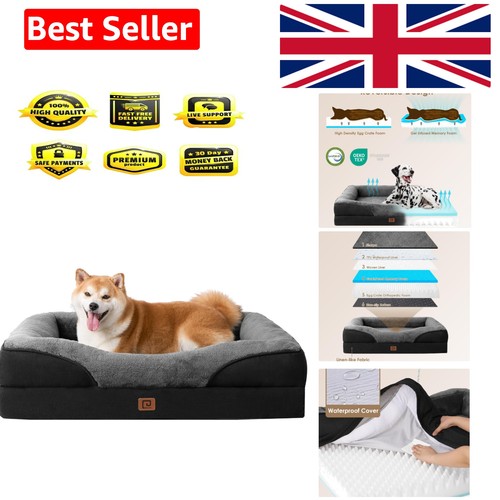 Memory foam large orthopedic - memory,