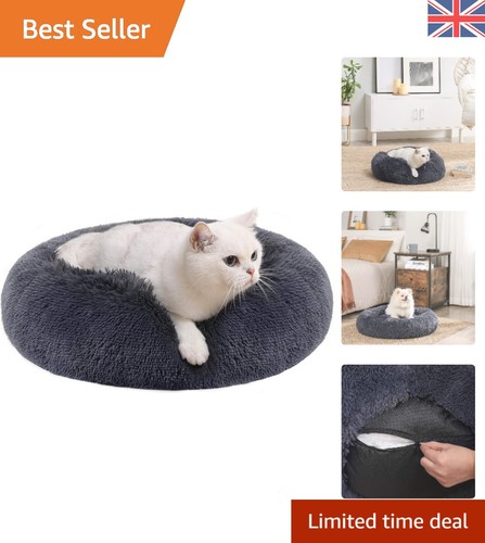 Luxurious memory foam dog - luxurious,