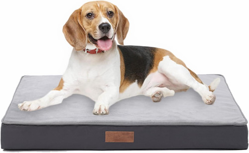 Medium orthopedic dog bed with - orthopedic,